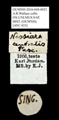Nessiara centralis•All Rights ReservedMuseum Label