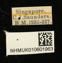 Aulacia•All Rights ReservedMuseum Label