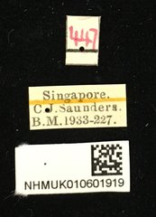 Pagria•All Rights ReservedMuseum Label