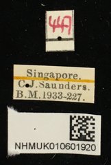 Pagria•All Rights ReservedMuseum Label
