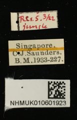 Pagria•All Rights ReservedMuseum Label