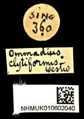 Omadius•All Rights ReservedMuseum Label