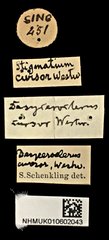 Stigmatium•All Rights ReservedMuseum Label