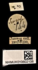 Elius•All Rights ReservedMuseum Label