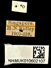 Elius•All Rights ReservedMuseum Label