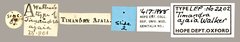 Noreia ajaia•All Rights ReservedMuseum Label