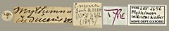 Carea inducens•All Rights ReservedMuseum Label