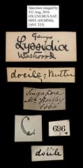 Lyssa zampa•All Rights ReservedMuseum Label
